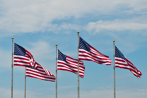 American Flags in the Wind