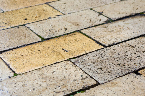 istock Wet paving slabs shine after rain, closeup 1316307644
