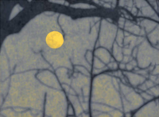 Yellow full moon seen through the branches of a tree.