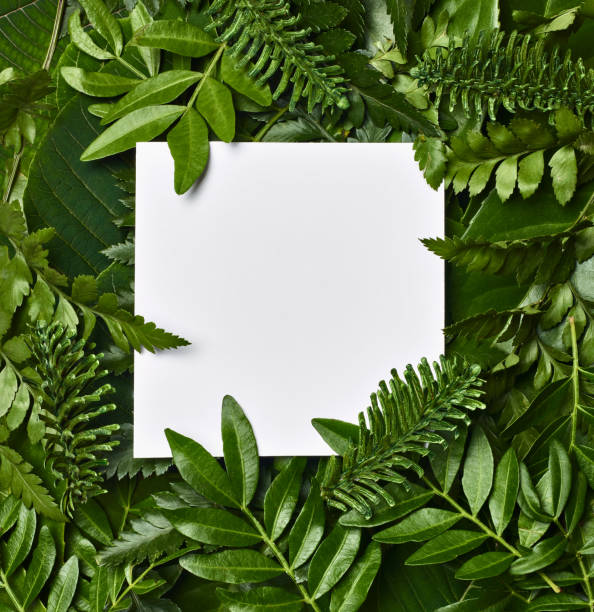 istock leaf flower greeting card note paper frame background flat lay floral layout invitation nature spring green 1316316191