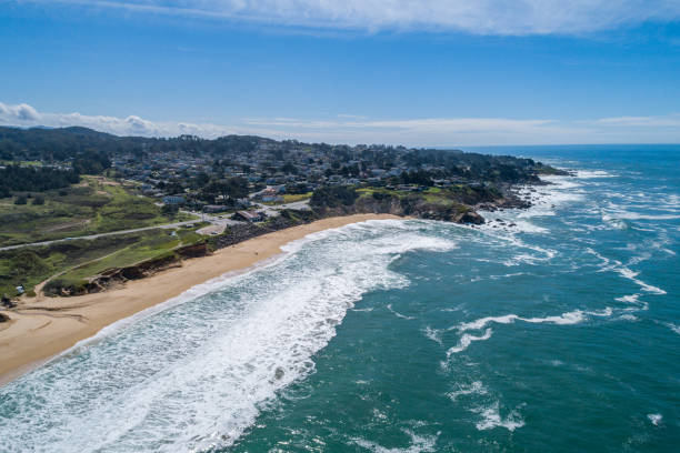 istock Gray Whale Cove State Beach in California 1316316261