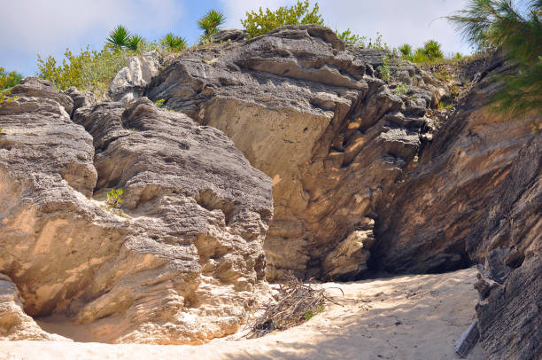 texture naturelle de la formation de roche volcanique. - bermuda beach limestone rock photos et images de collection