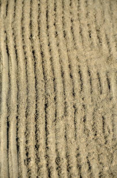 istock Grooves in the sand 1316317793