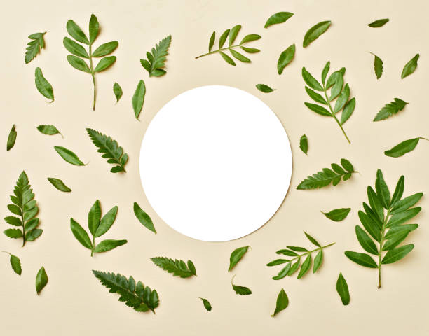 istock leaf flower greeting card note paper frame background flat lay floral layout invitation nature spring green 1316318395