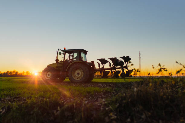 istock Tractor with plow on field at sunset 1316318509