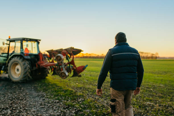 istock Rear view of man walking towards tractor 1316318677