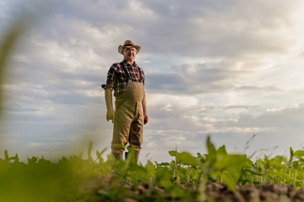 istock Senior man standing in field 1316319588