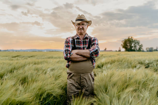 istock Senior man standing with arms crossed in field 1316319616