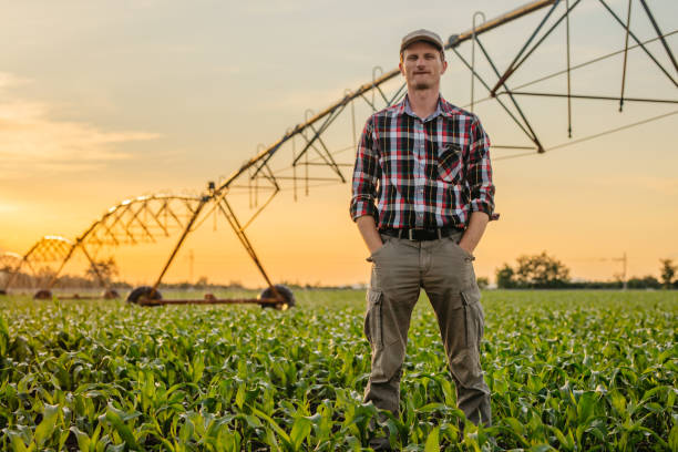 porträt eines mannes, der auf bewässertem maisfeld steht - crop sprayer front or back yard pest control equipment spraying stock-fotos und bilder