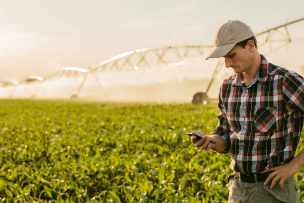 istock Man checking mobile phone on irrigated field 1316319849