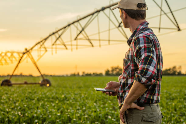 istock Man holding mobile phone and looking at irrigated field 1316319877