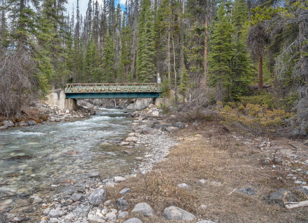 istock Bridge over the Emerald River near Field, British Columbia 1316319889