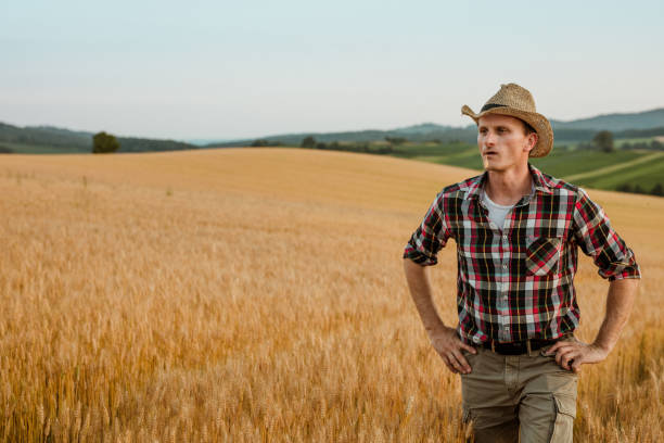 istock Farmer standing in wheat field 1316320210
