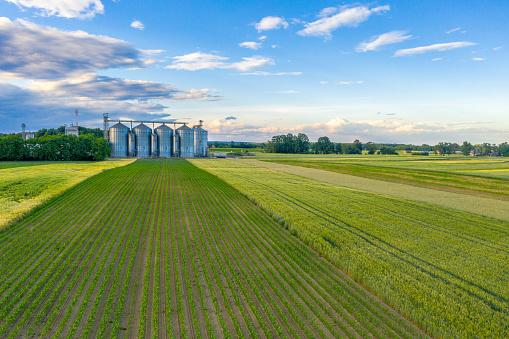 Agricultural field with silo grains in the background