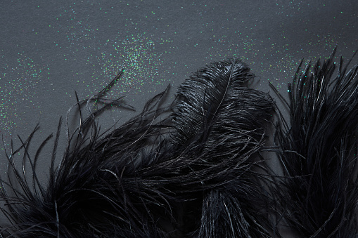 Beautiful  black feathers with glitter texture on a black background. Copy space. Flat lay