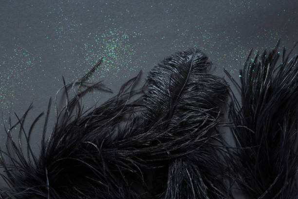 Beautiful  black feathers with glitter texture on a black background. Beautiful  black feathers with glitter texture on a black background. Copy space. Flat lay ostrich feather stock pictures, royalty-free photos & images