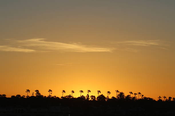 istock Sunset in southern california 1316321365