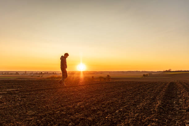 耕さ�れた畑を歩く農夫 - horizon over land rural scene horizon landscaped ストックフォトと画像