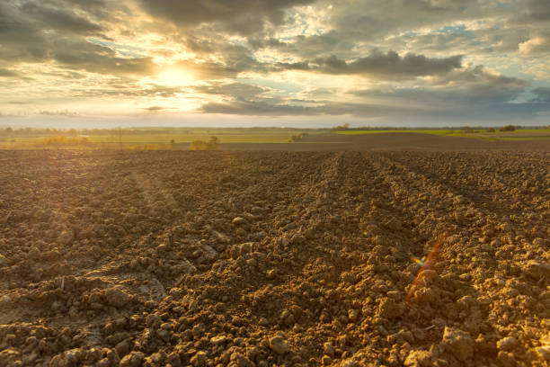 View of plowed field against sky