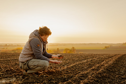 Male farmer examining soil at agricultural field