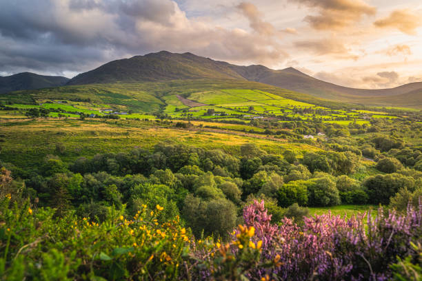 sonnenuntergang am fuße des carrauntoohil berges, macgillycuddys reeks berge - scenics county kerry republic of ireland irish culture stock-fotos und bilder