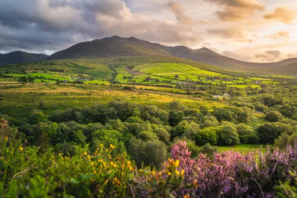 Beautiful sunset with dramatic sky at golden hour over the foothill of Carrauntoohil mountain, MacGillycuddys Reeks mountains, Ring of Kerry, Coomcallee, Ireland