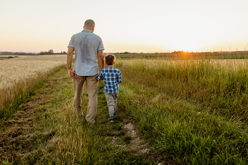 Rear view of father and son walking on agricultural field during sunset