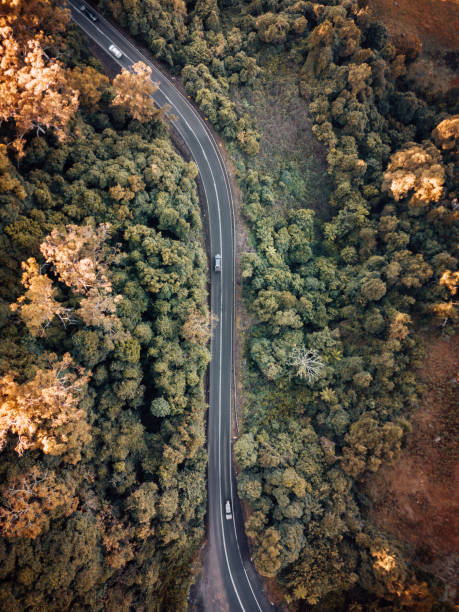 istock yarra ranges national park on the road 1316323978