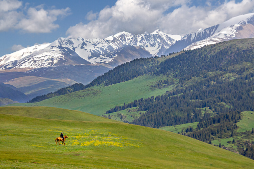 Almaty, Kazakhstan - June 10, 2018: Assy Plateau where the nomads go to spend the summer with a nomad on his horse, near Almaty, Kazakhstan
