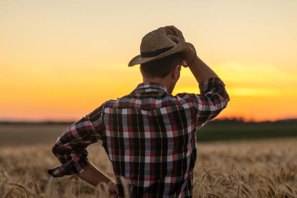 istock Rear view of man standing on wheat field 1316324054