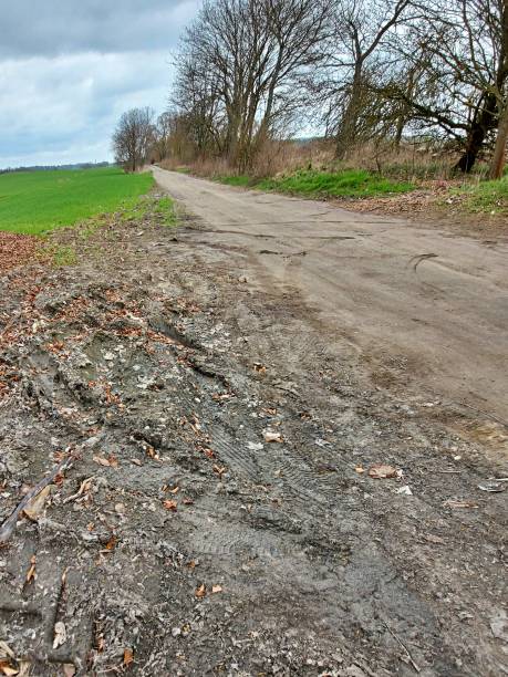 istock Tire tracks, way to the field 1316325139