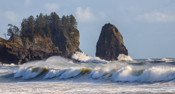 crashing rolling waves onto 1st beach at la push washington Olympic rain forest