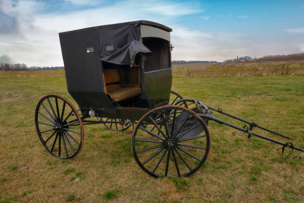 istock Amish Family Buggy-Hamilton County, Indiana 1316328245
