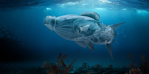 A Discarded Plastic Bottle Morphed Into A Fish, Swimming Alone Underwater in the Sea Near The Sea Bed. A compressed plastic bottle with fins, as if morphed into a fish swimming underwater, close to the sea bed. Bubbles emanate from the bottle / fish as it moves through the water, close to seaweed growing from the sea floor. plastic marine life stock pictures, royalty-free photos & images