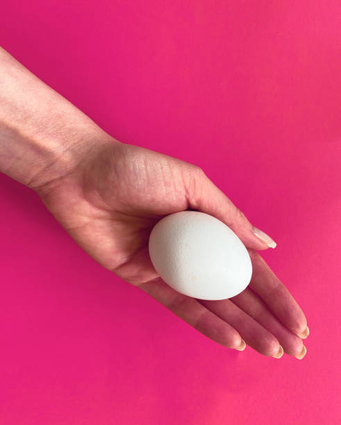 istock Cropped image of hand holding egg on pink background 1316328771