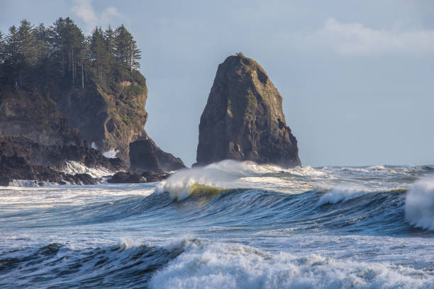 istock crashing rolling waves onto 1st beach at la push washington Olympic rain forest 1316330127