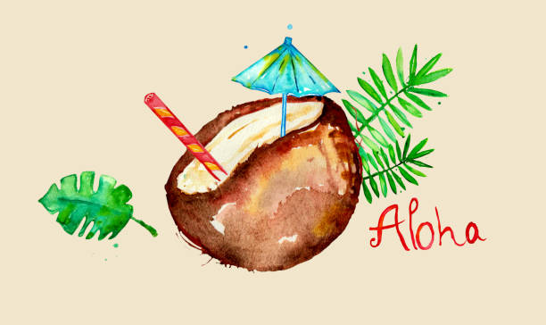 알로하 섬 하와이 휴가 일러스트레이션 - coconut drink cocktail umbrella stock illustrations