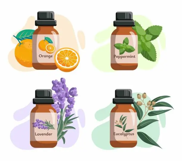 Vector illustration of Set of glass bottles with essential oils