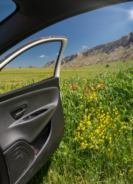 istock Road to the mountains 1316335199