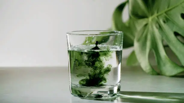 Chlorophyll extract is poured in pure water in glass against a white grey background with green leaf. Liquid chlorophyll in a glass of water. Concept of superfood, healthy eating, detox and diet. Slow motion, close up, copy space