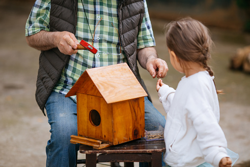 Little toddler girl and grandfather working and constructing together. Senior man works with screwdriver and cute granddaughter learning. Happy family having fun together