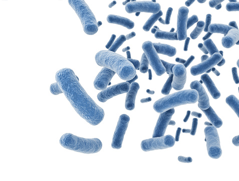 Bacteria cells isolated on white background with copy space