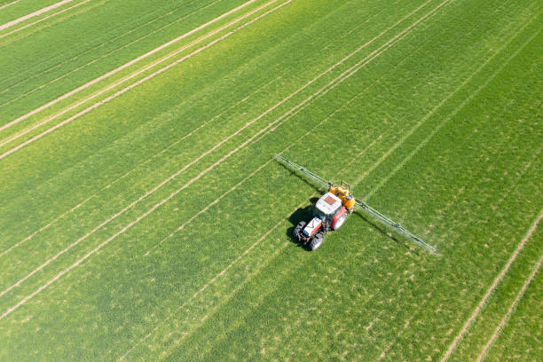 istock Tractor working in field, aerial view 1316345350