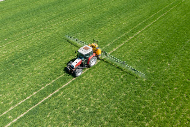 istock Tractor spraying green field, aerial view 1316345698