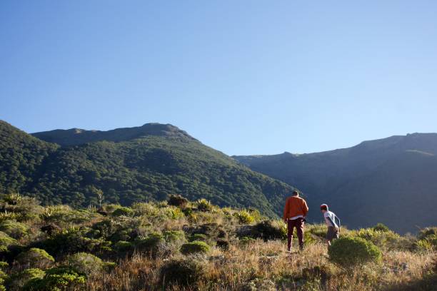 caminata de padre e hijo en la naturaleza - kahurangi fotografías e imágenes de stock