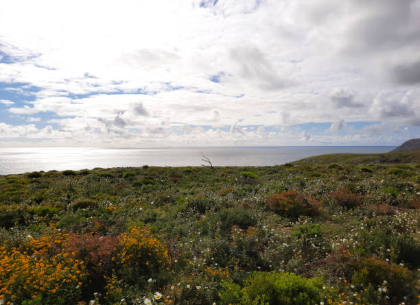 istock Coastline View, Horizon over Ocean, Cloudy Blue Sky 1316354242