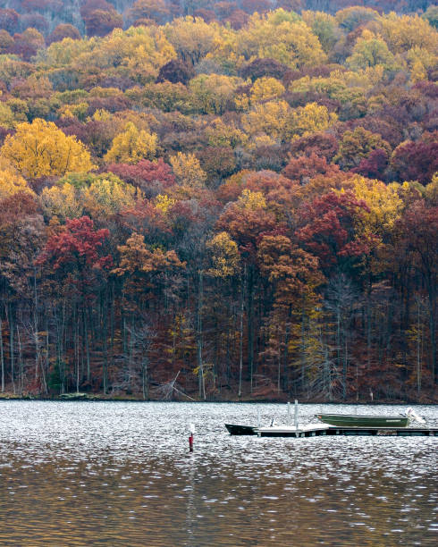 istock Catoctin Mountain Park, Maryland 1316358153