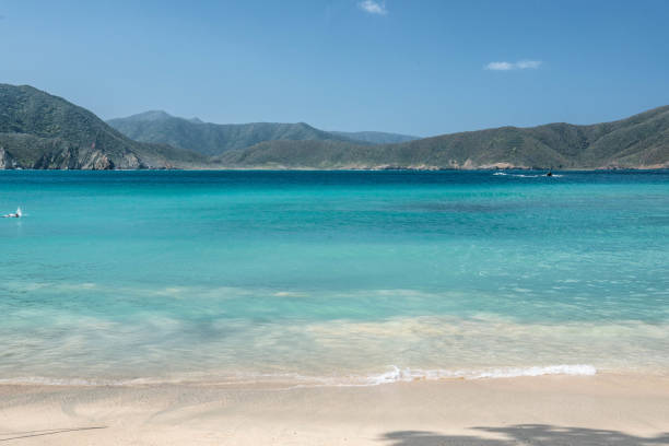 istock Natural landscape on the beach with ocean view and blue sky. 1316358677
