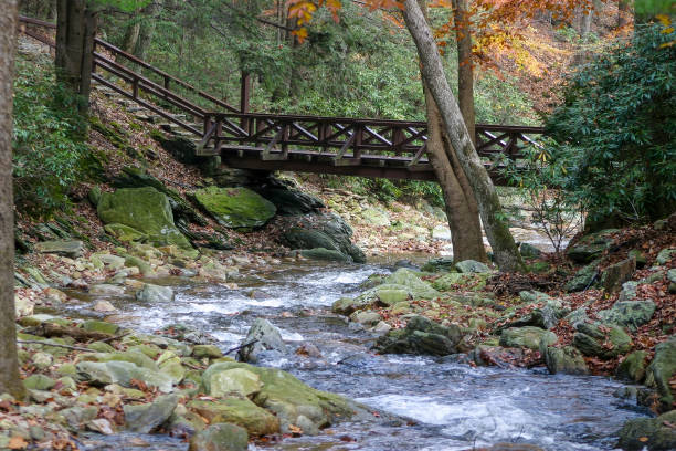istock Catoctin Mountain Park, Maryland 1316358696
