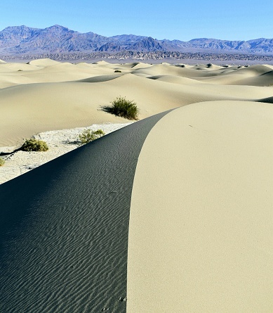 Shot in Death Valley, yet these dunes felt surprisigly alive.